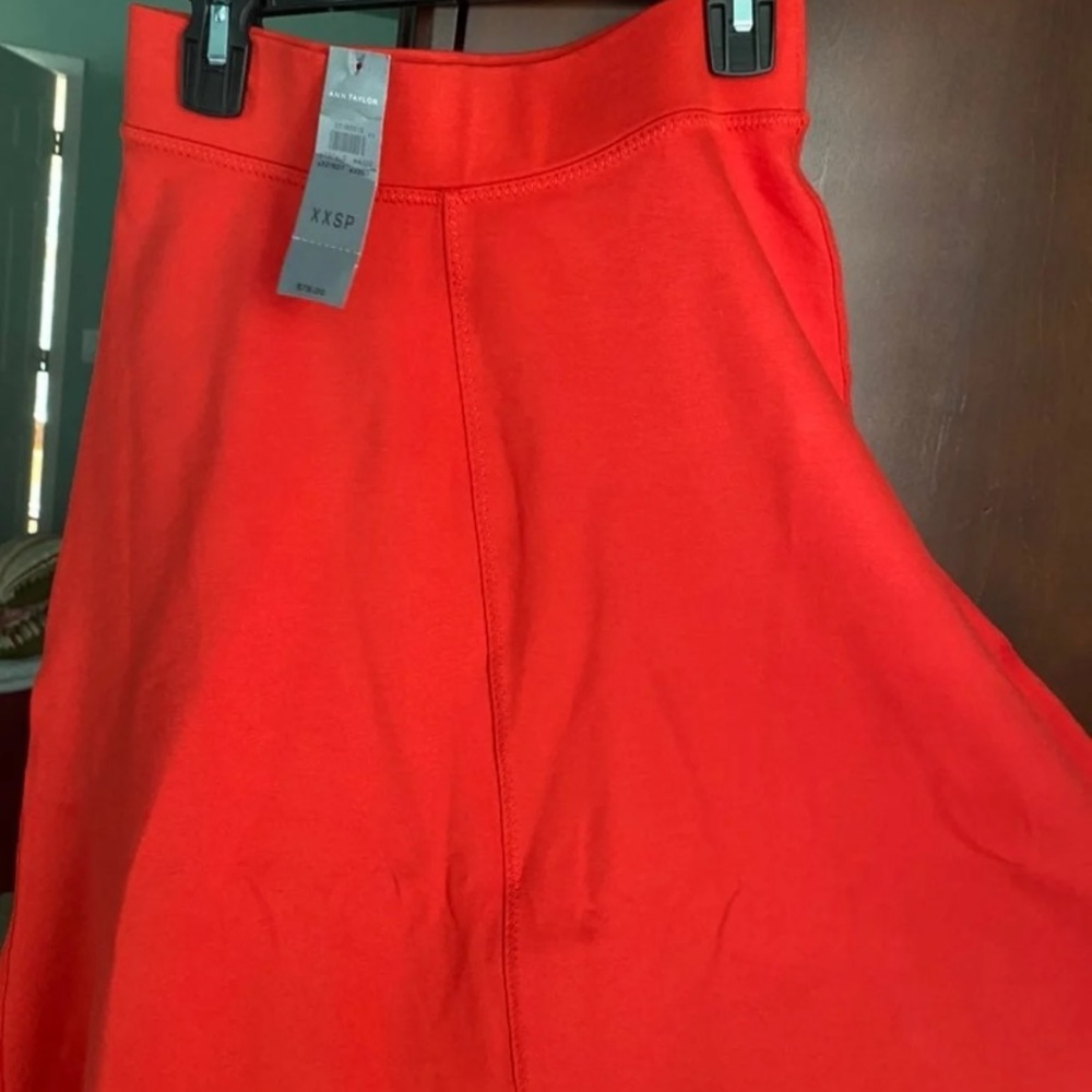 Ann Taylor Skirt (0-2)